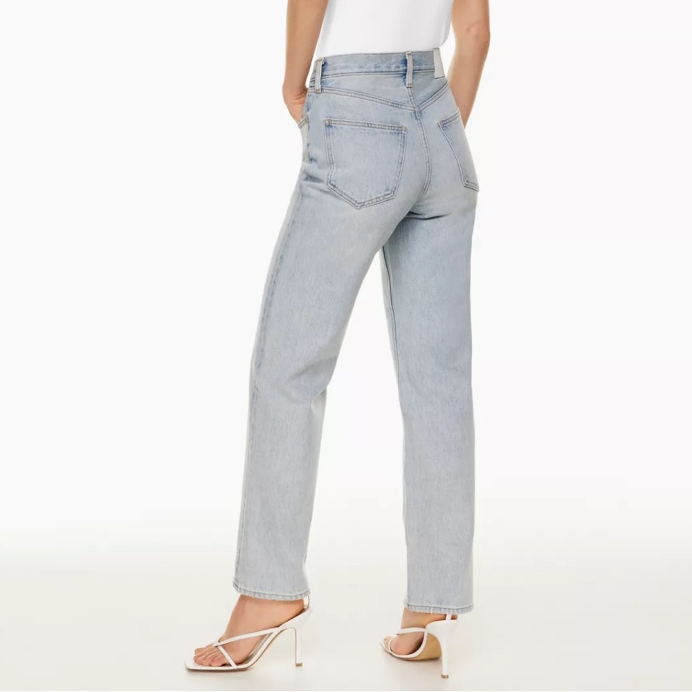 Aritzia Joni High Rise Loose